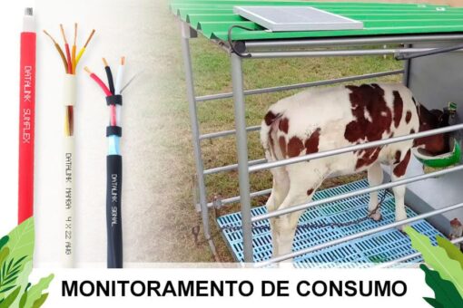 Boi dentro de uma estrutura metálica com piso gradeado e cobertura verde, ao lado de imagens e texto sobre cabos elétricos e monitoramento de consumo.