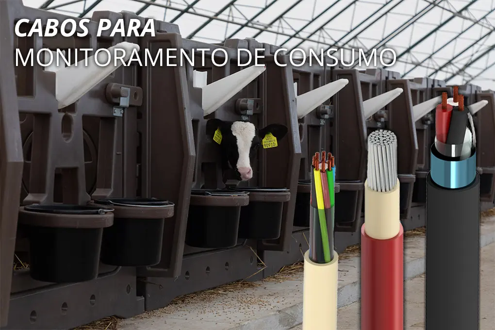 Animal em sistema de alimentação automatizado em instalação agrícola. Na frente, cabos elétricos e cabo agronegócio usados no monitoramento de consumo.