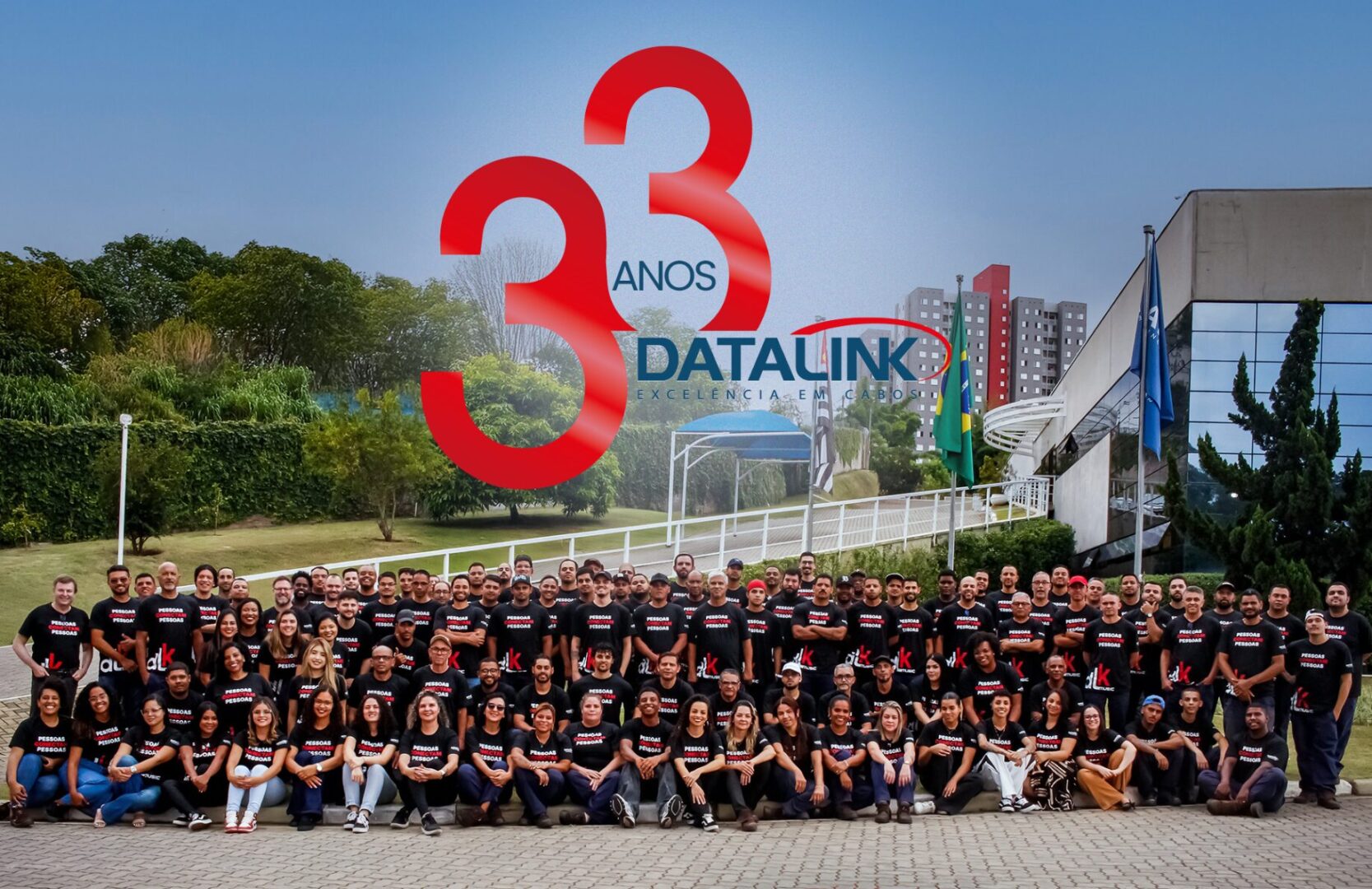 33 Anos Datalink