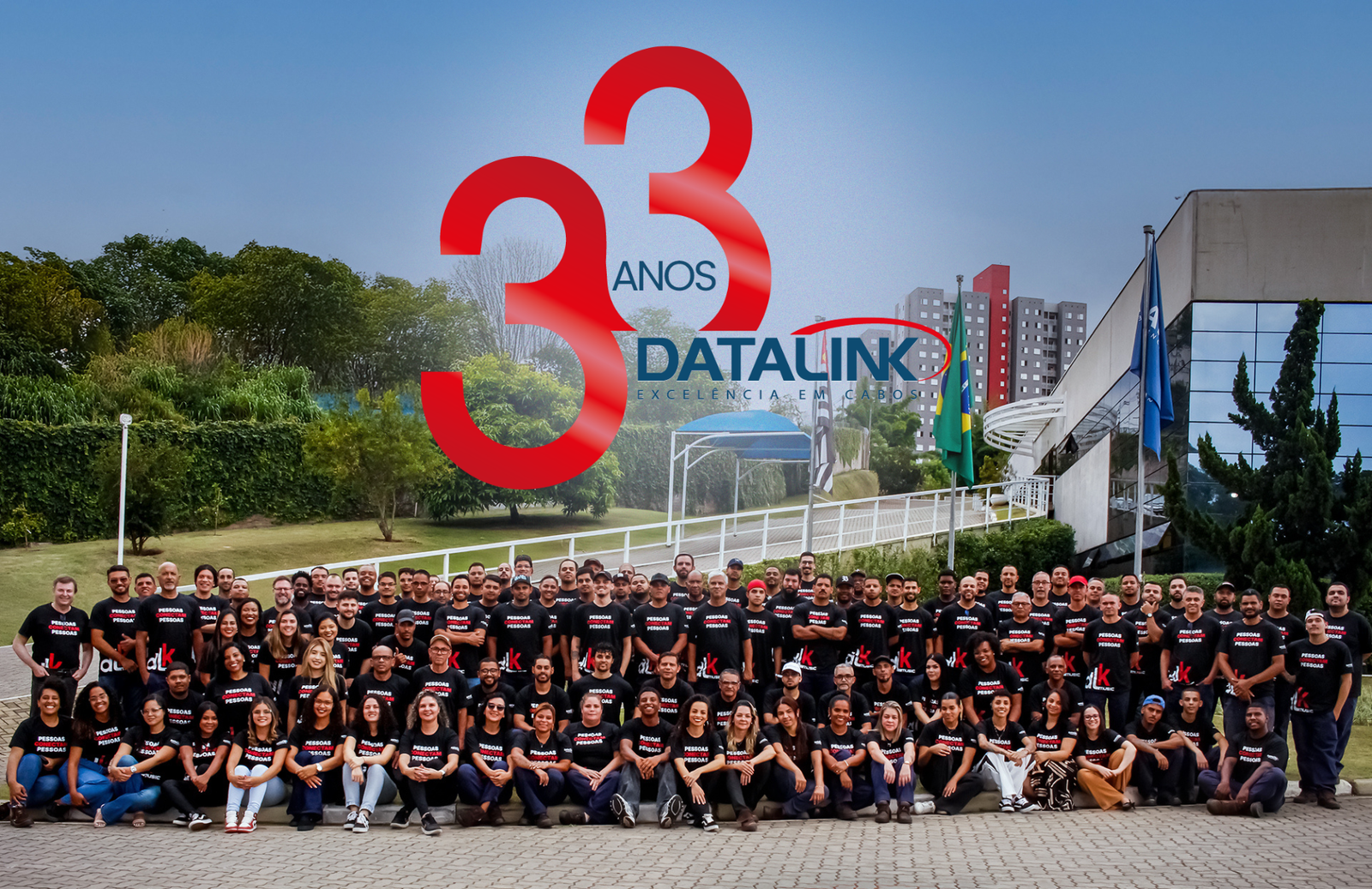 33 Anos Datalink